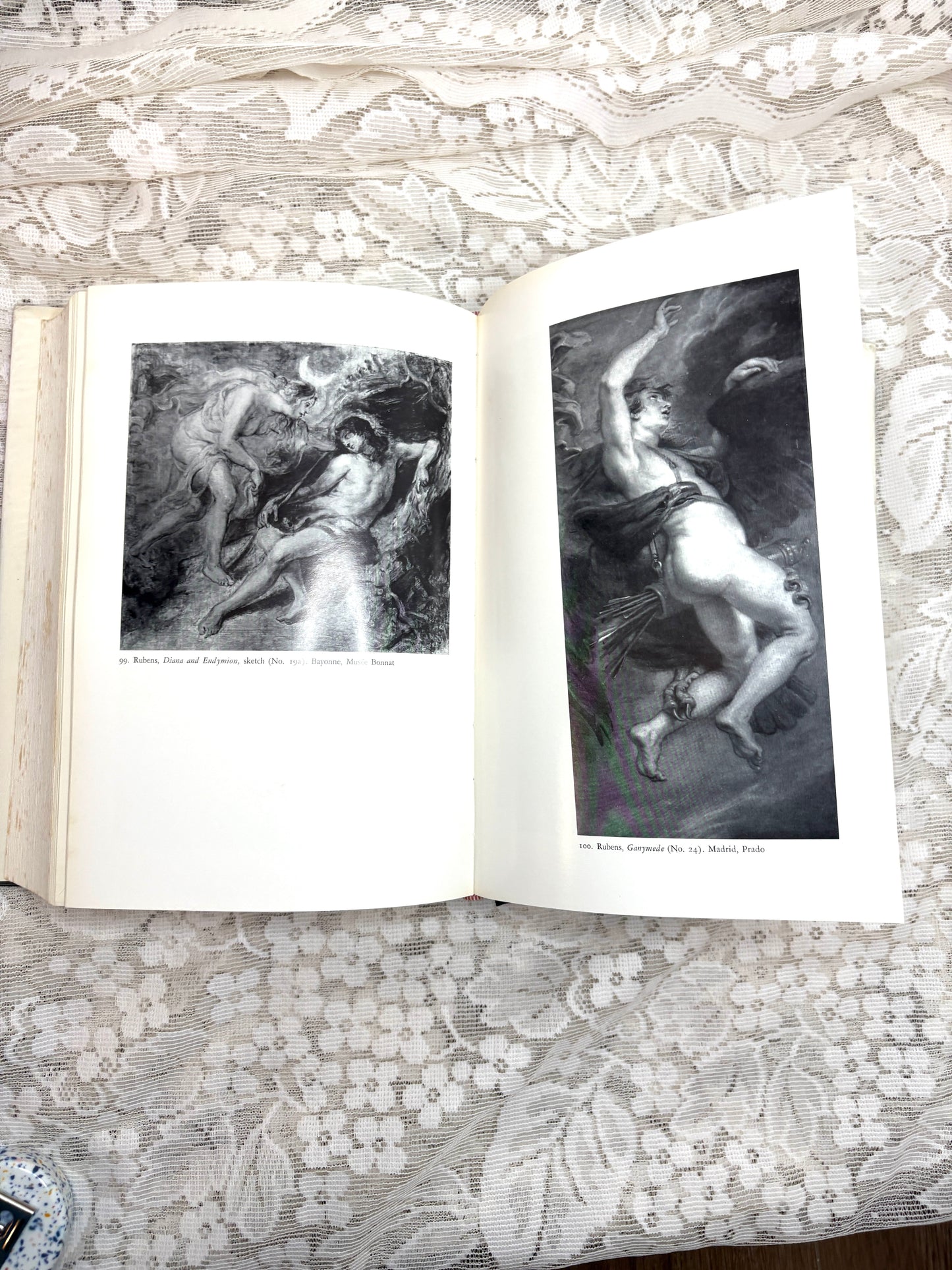 The decoration of the Torre de la Parada. (Hardcover)