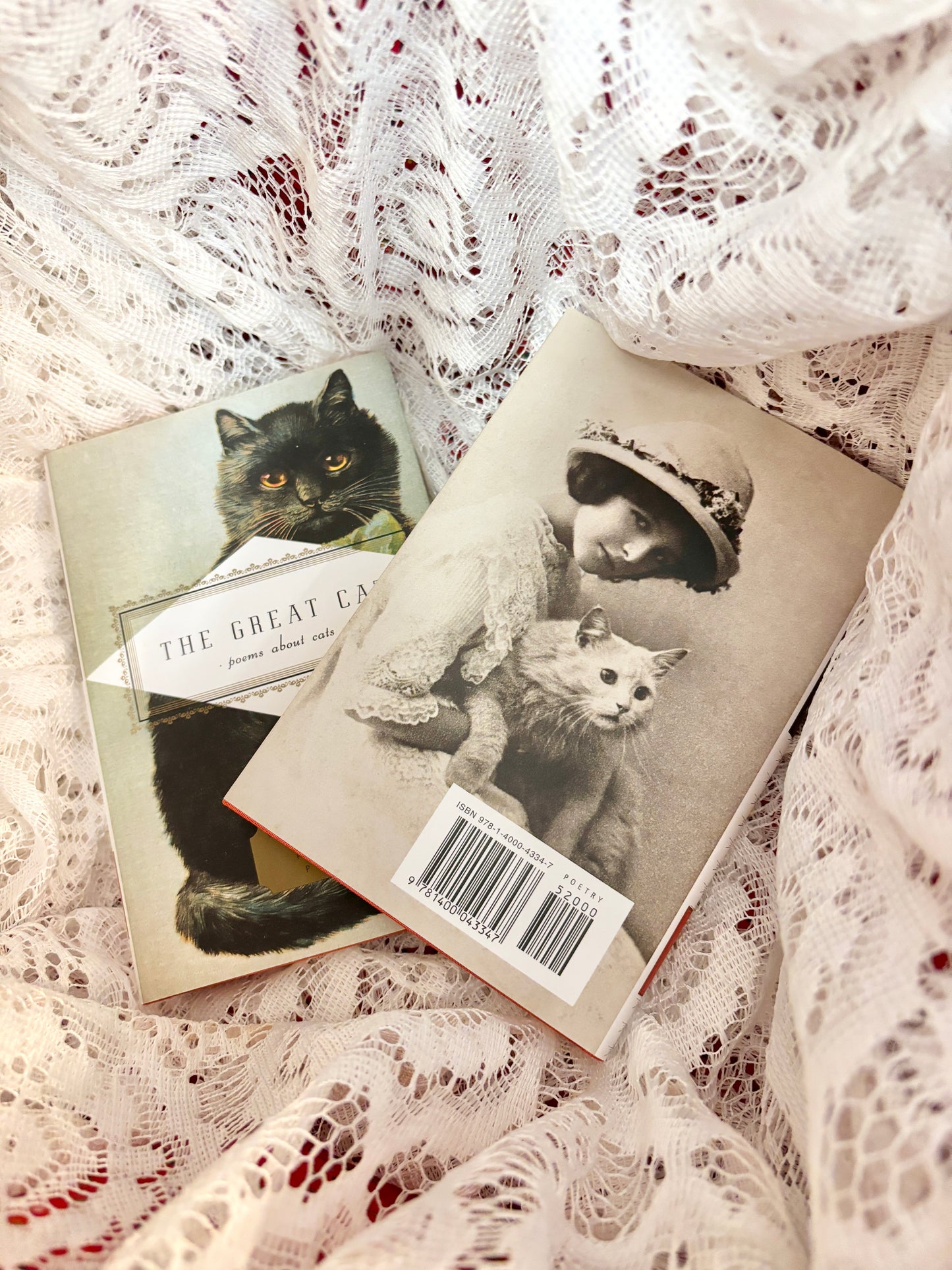 Poems About Cats