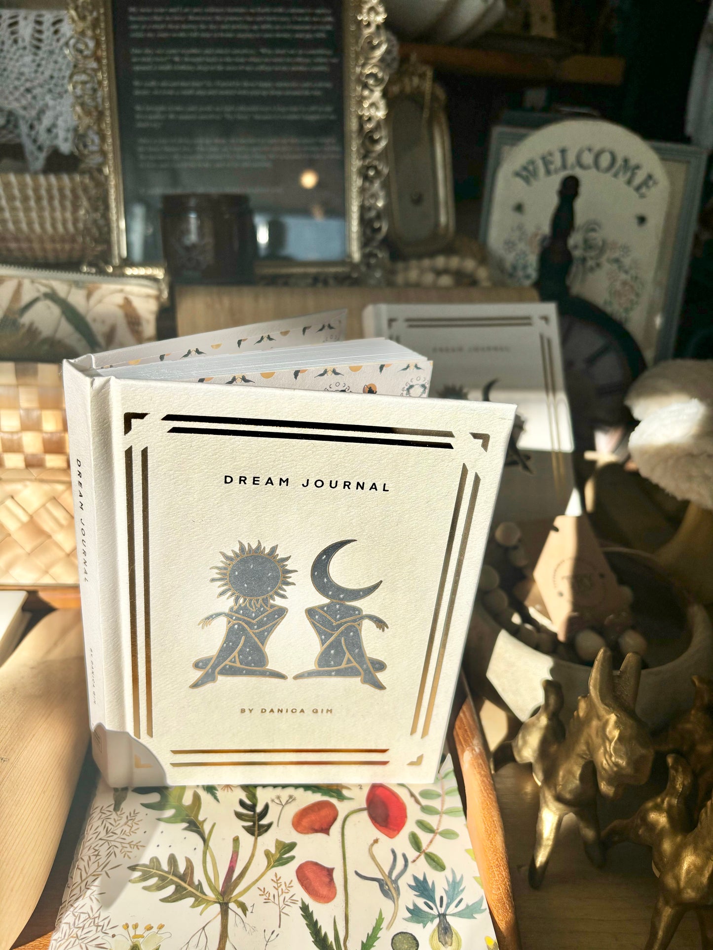 Dream Journal