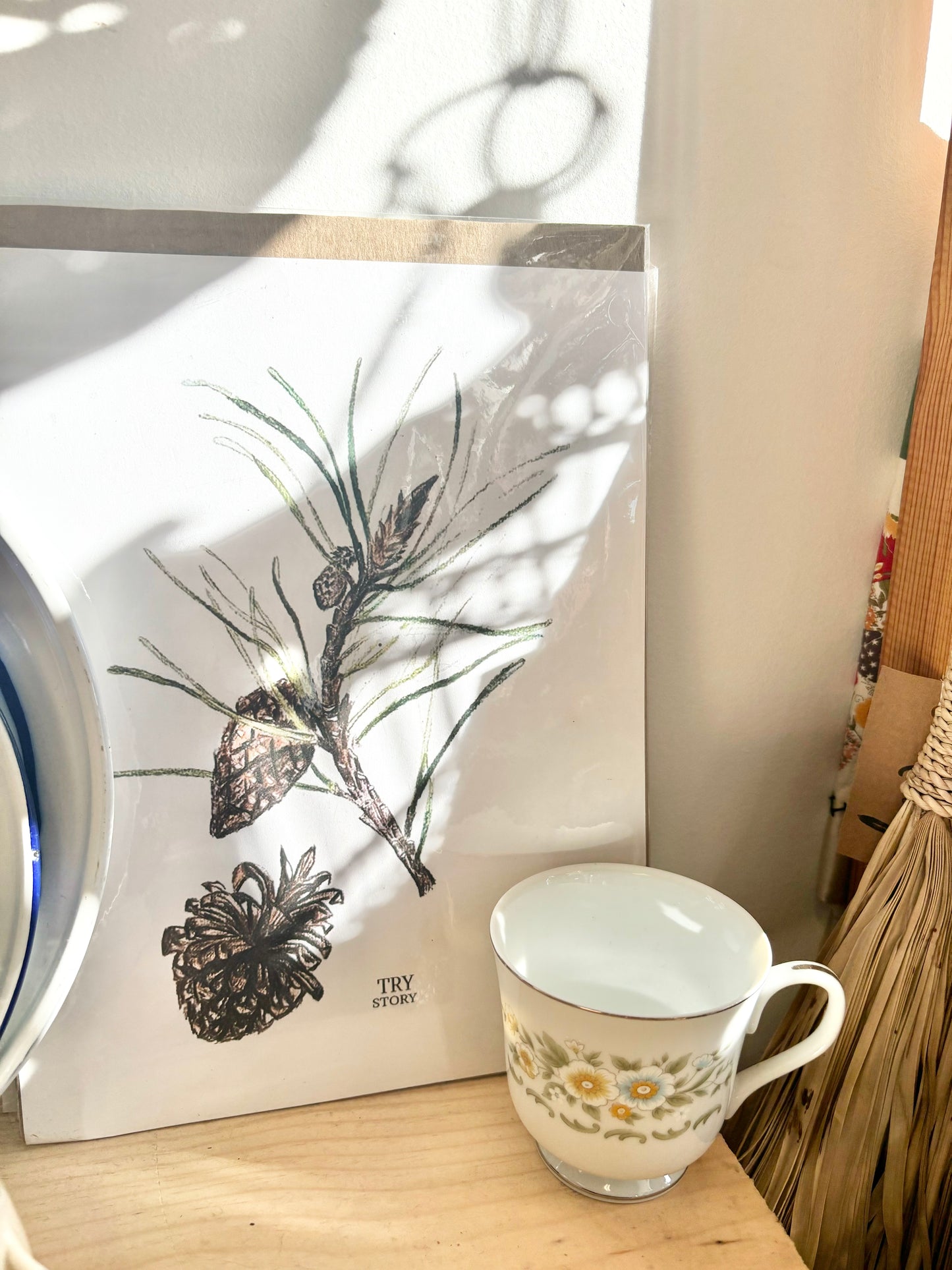 Pine Cone Botanical Art Print by Trystudio