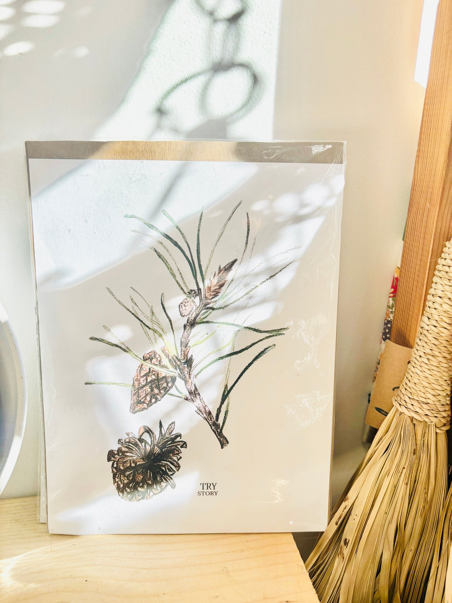 Pine Cone Botanical Art Print by Trystudio