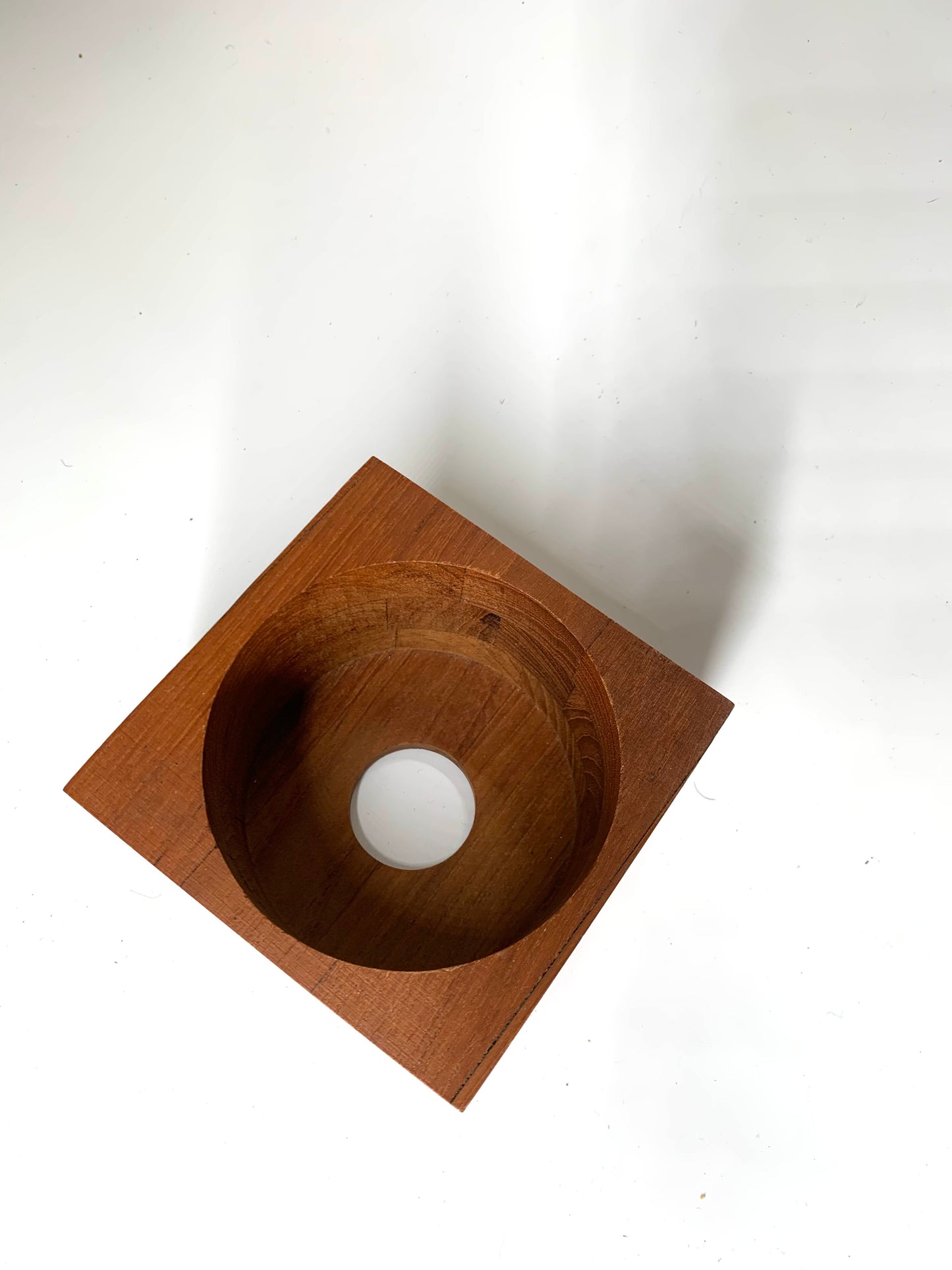 Succulent plant holder