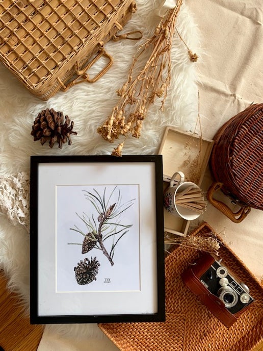Pine Cone Botanical Art Print by Trystudio
