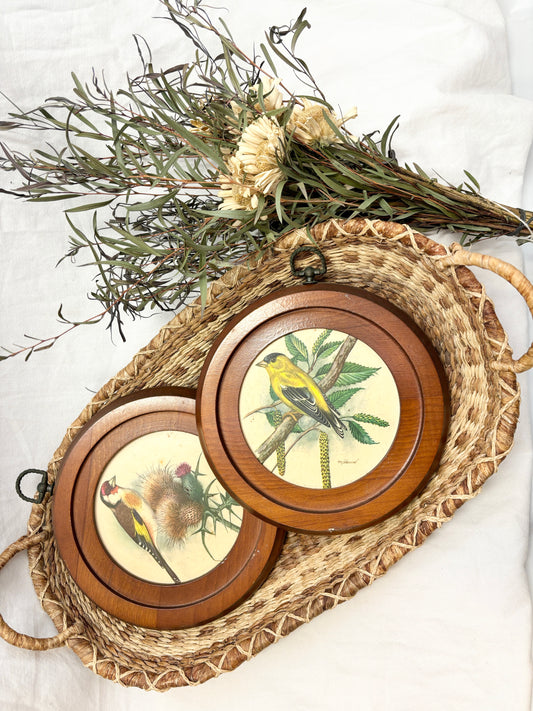 Vintage Bird Wall Art