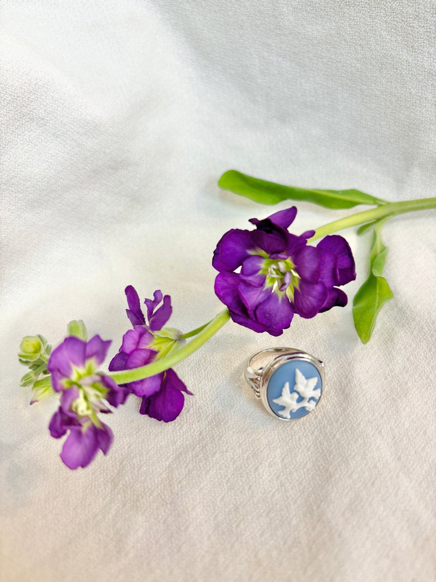 Avon 1980s Wedgwood-Style Blue Cameo Ring – Two Doves, Size 5