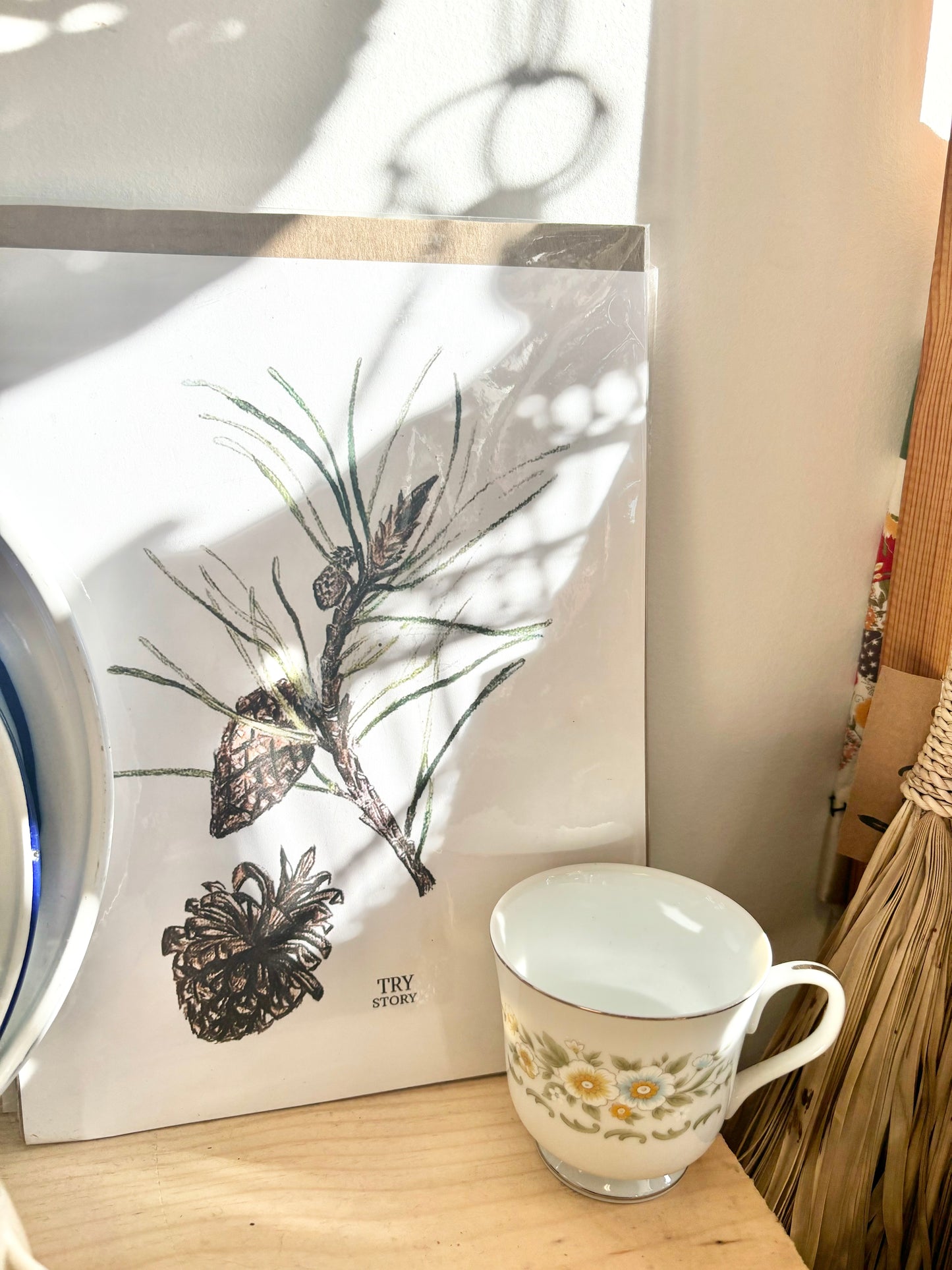 Pine Cone Botanical Art Print by Trystudio