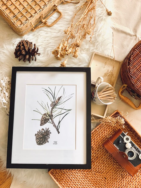 Pine cone art print