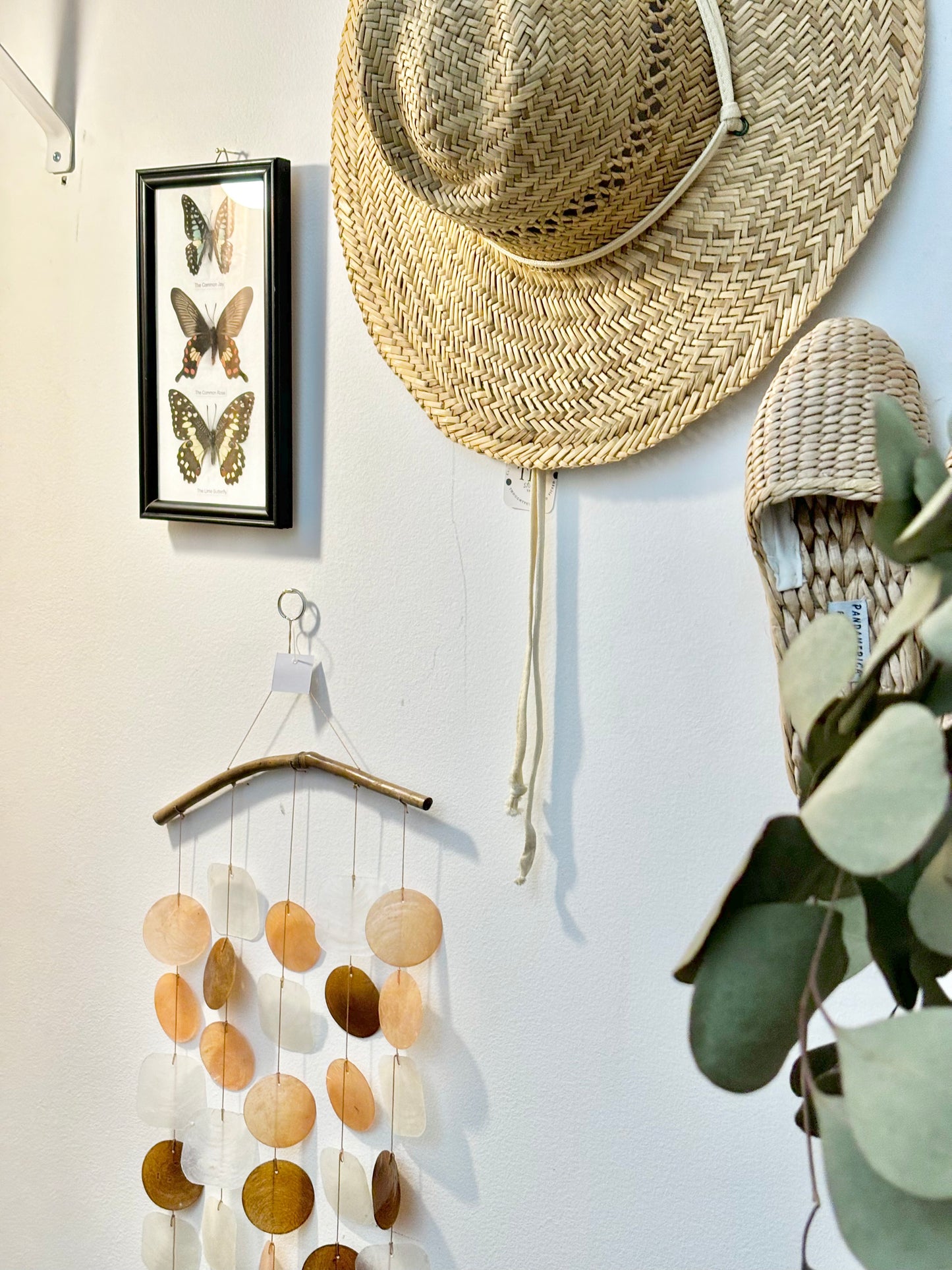 Butterflies Trio Display