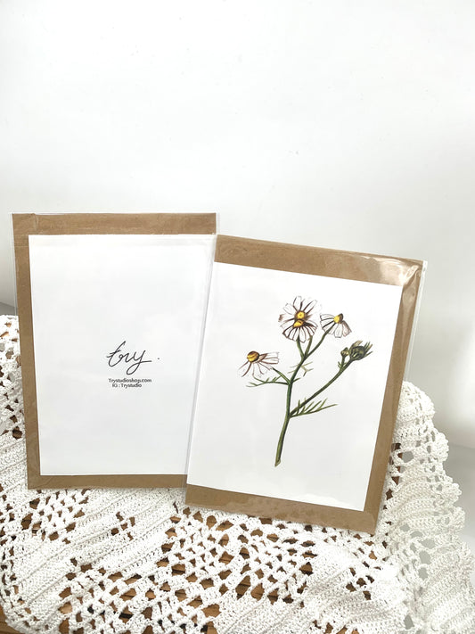 Daisy love greeting card